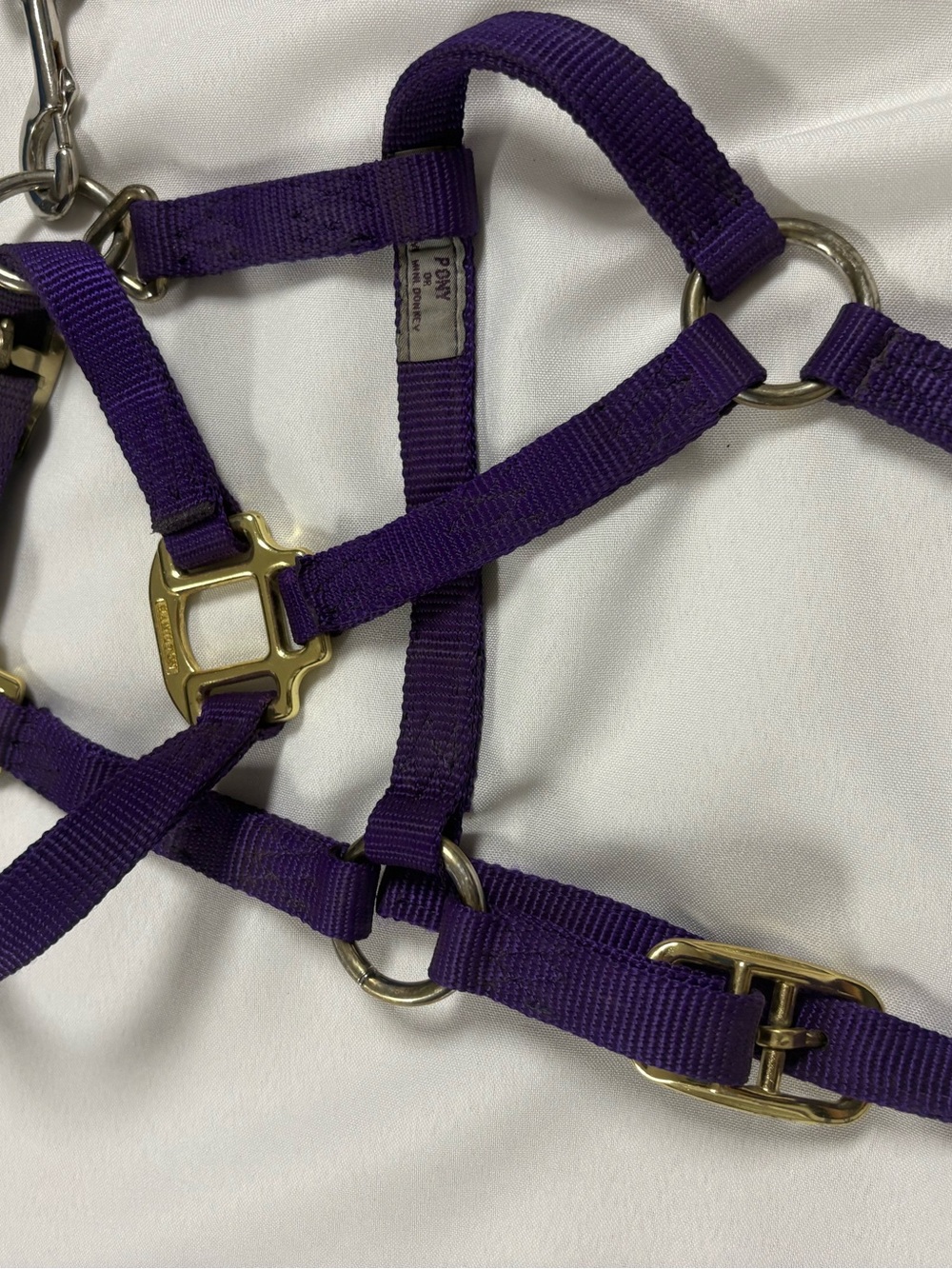 Poler Purple Nylon Pet Halter with Brass Hardware